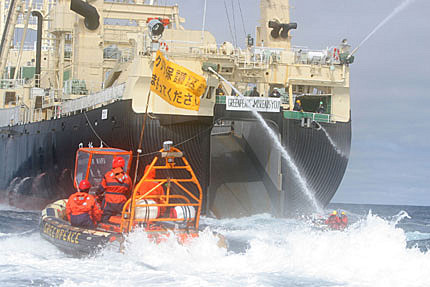 GREENPEACE ARGENTINA